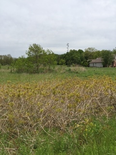 Lot 2-vl Jackson Road South Bend, IN 46614 - Photo 2 of 4 Gallery Image 2