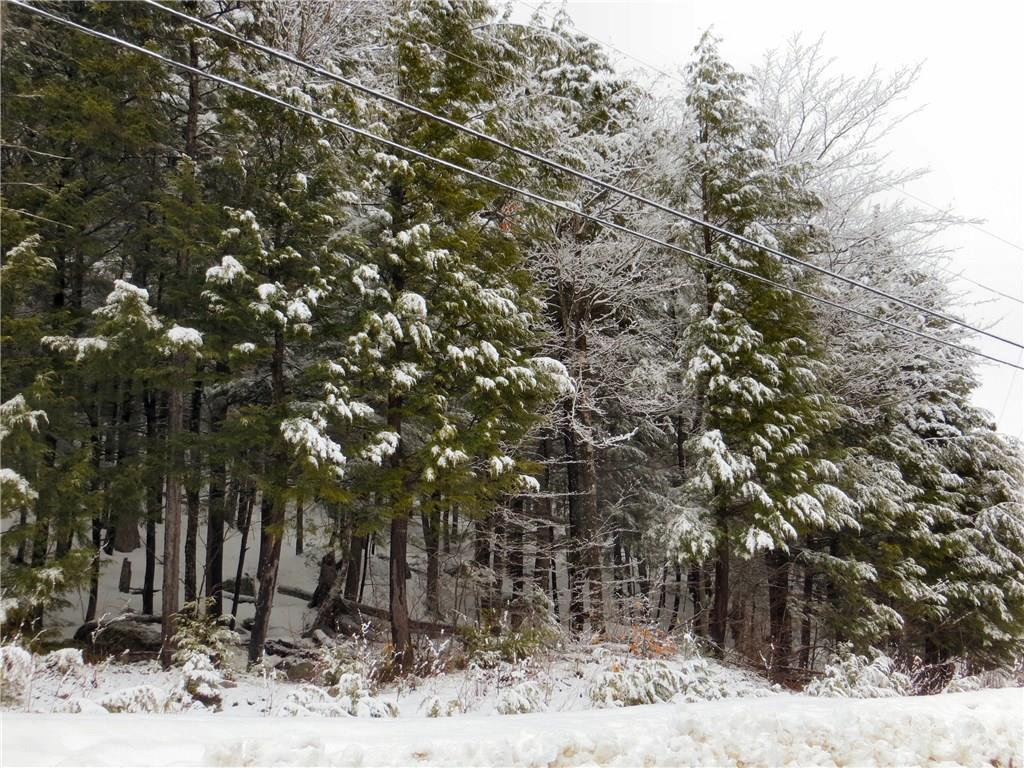 Lot 68 Douglass Road Newry, ME 04261 - Photo 9 of 10 Photo