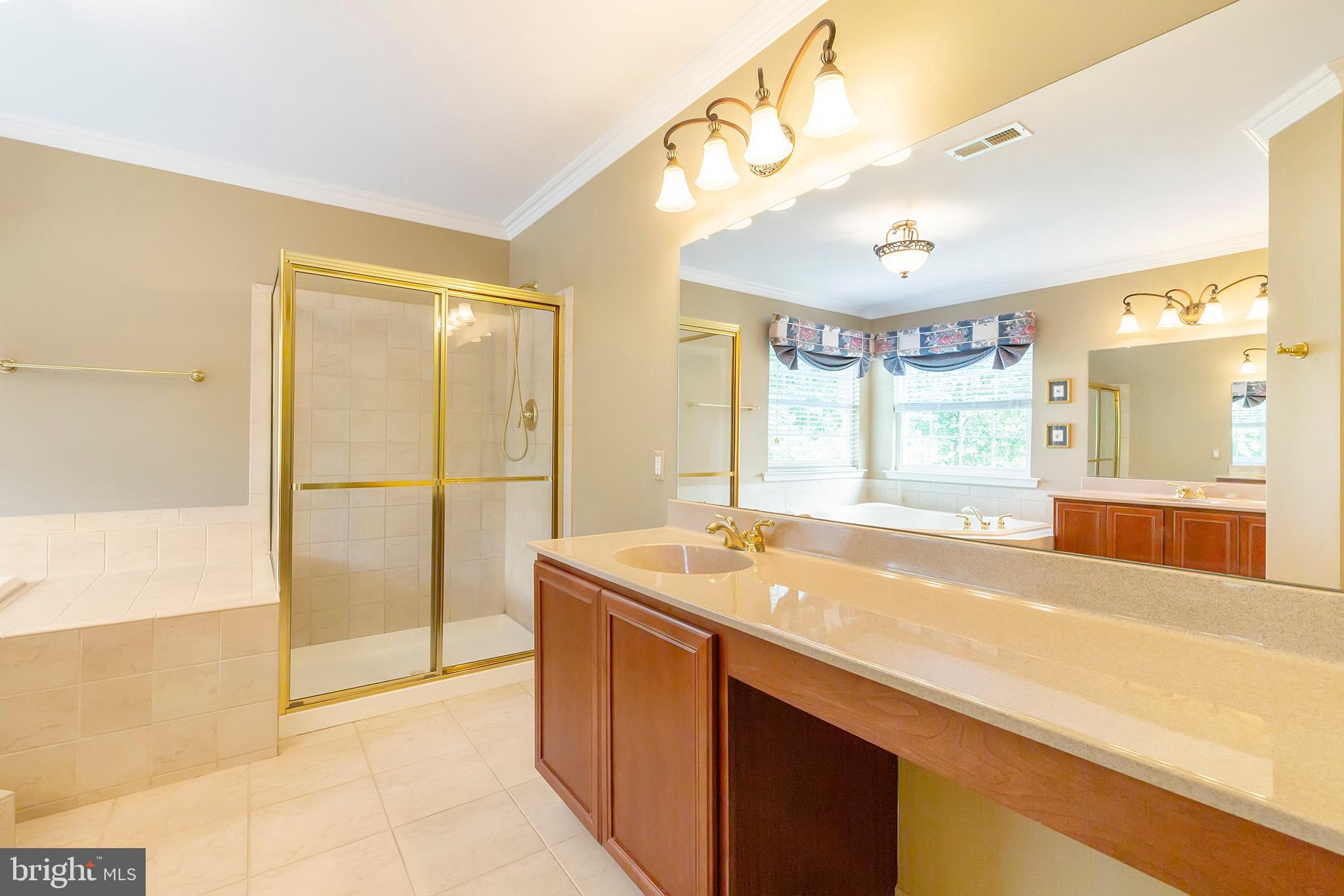 253 Jennings Way Mickleton, NJ 08056 - Photo 19 of 53 Master Bathroom