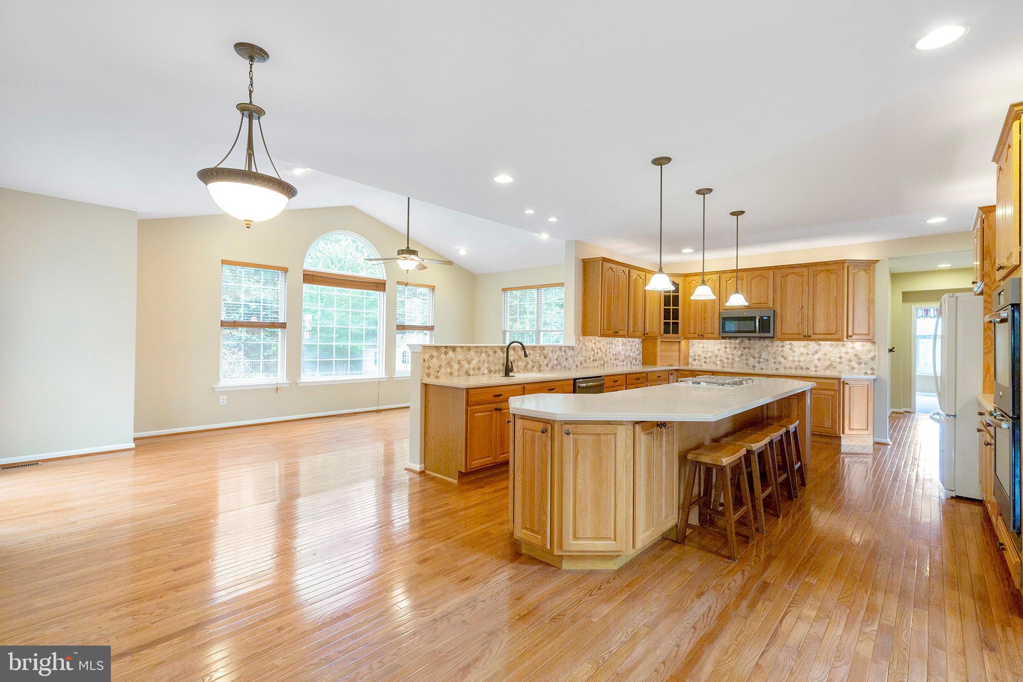 253 Jennings Way Mickleton, NJ 08056 - Photo 3 of 53 Kitchen