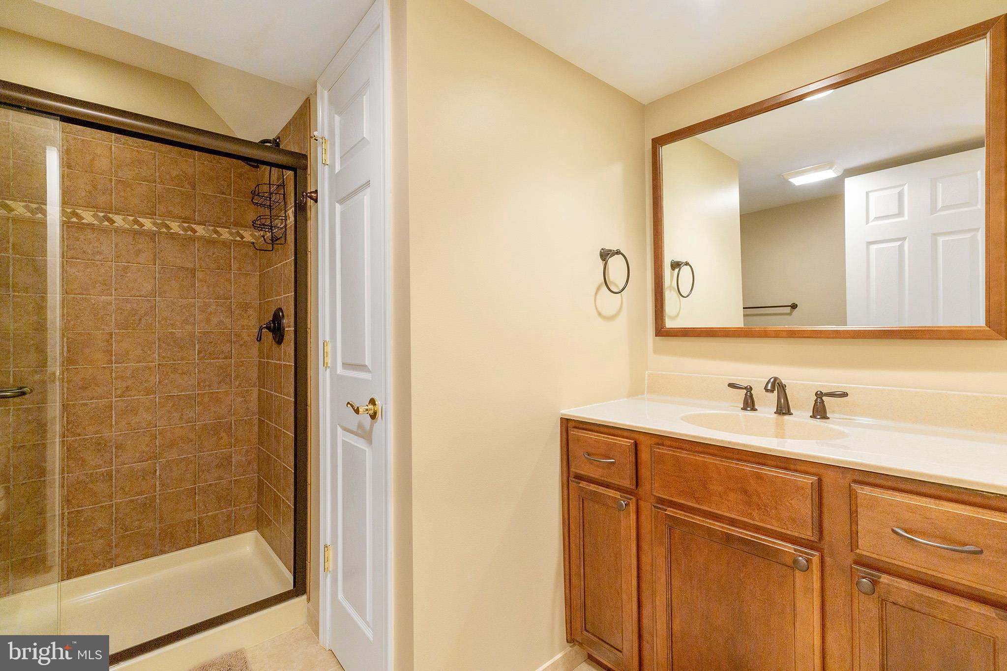 253 Jennings Way Mickleton, NJ 08056 - Photo 30 of 53 Finished Basement - Full Bath