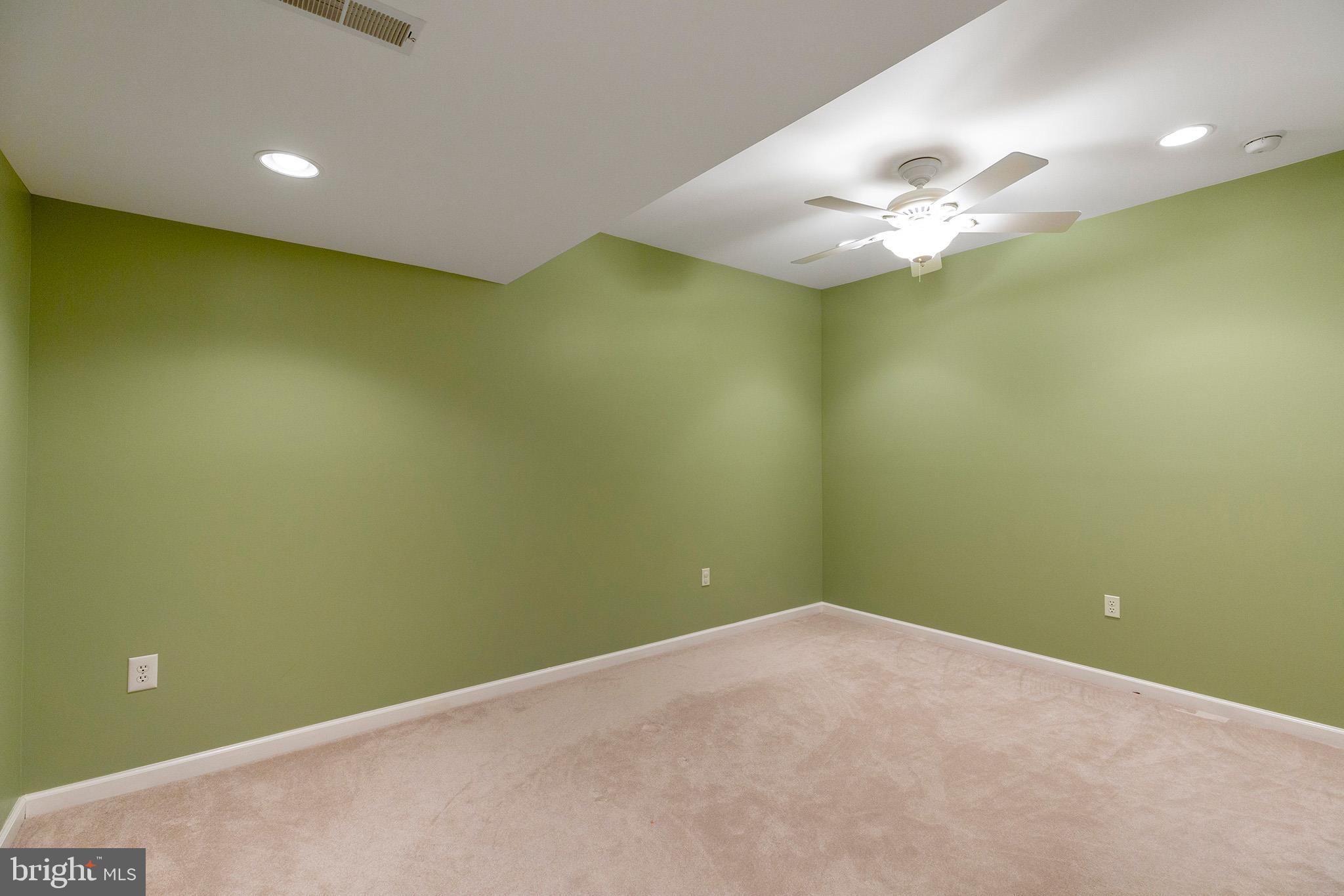 253 Jennings Way Mickleton, NJ 08056 - Photo 33 of 53 Finished Basement - Bonus Room 2