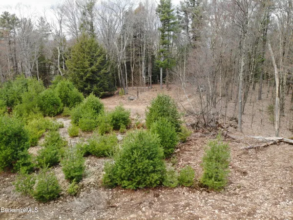 a view of outdoor space and trees all around