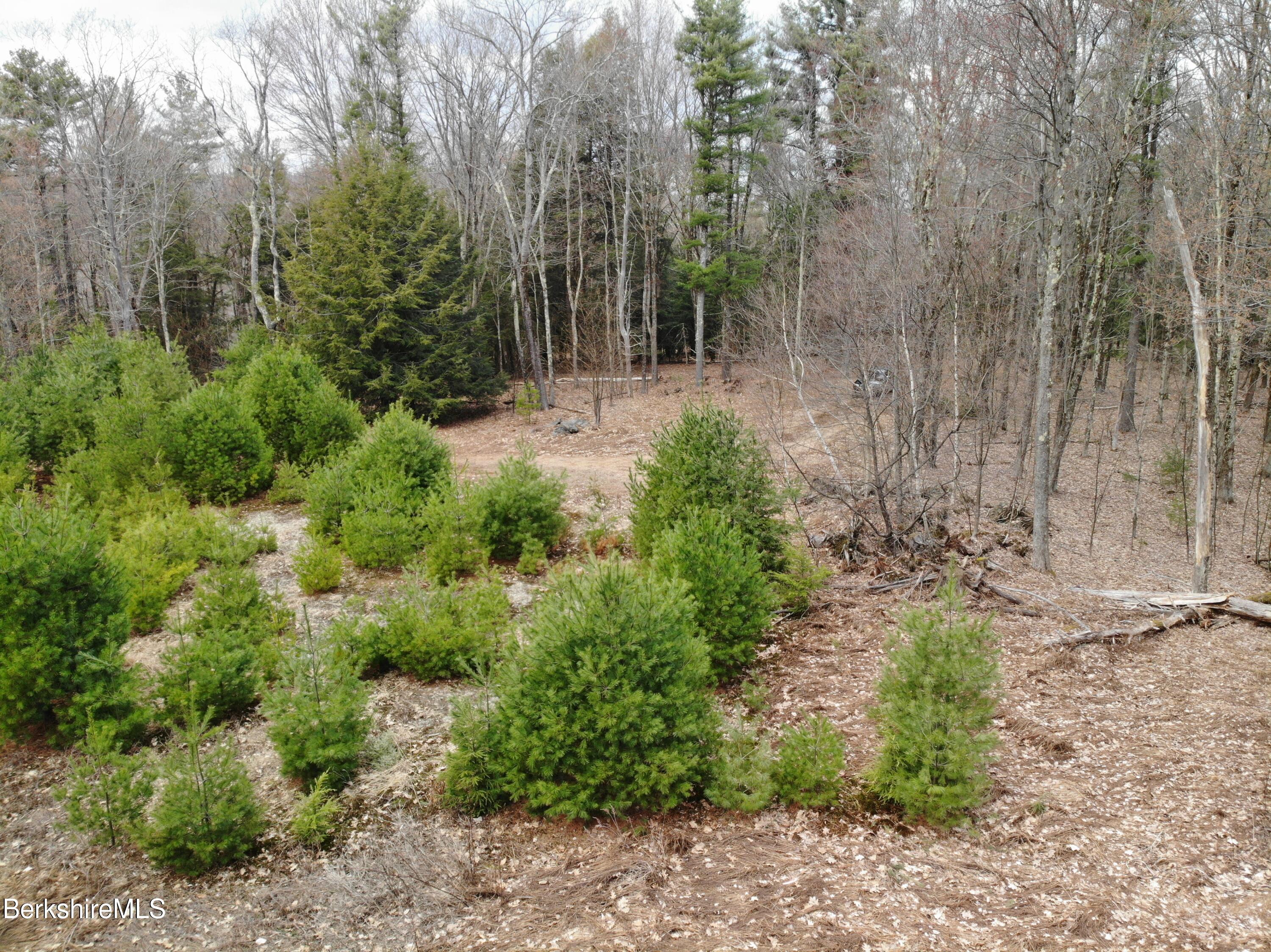 10 Mountain Road South Egremont, MA 01258 - Photo 2 of 10 a view of outdoor space and trees all around