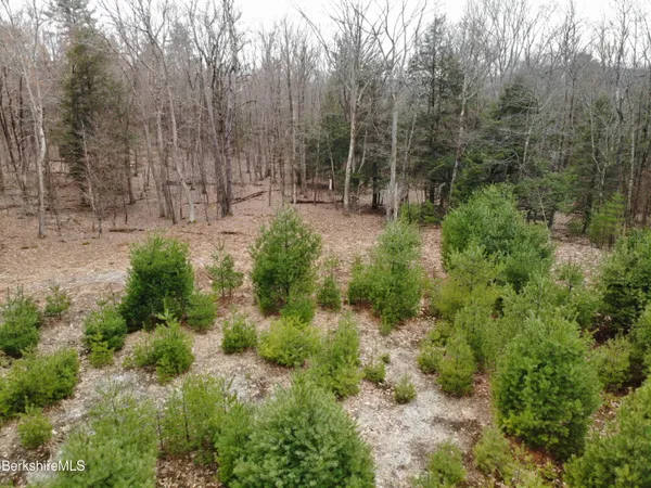 a view of outdoor space and trees