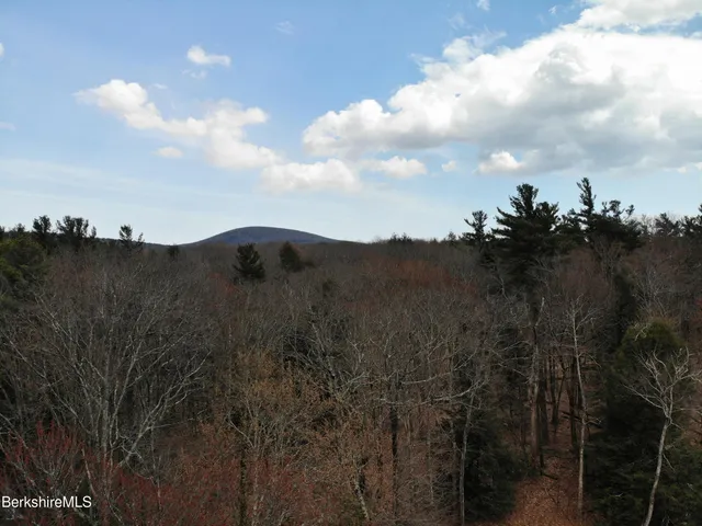 a view of a city with a forest