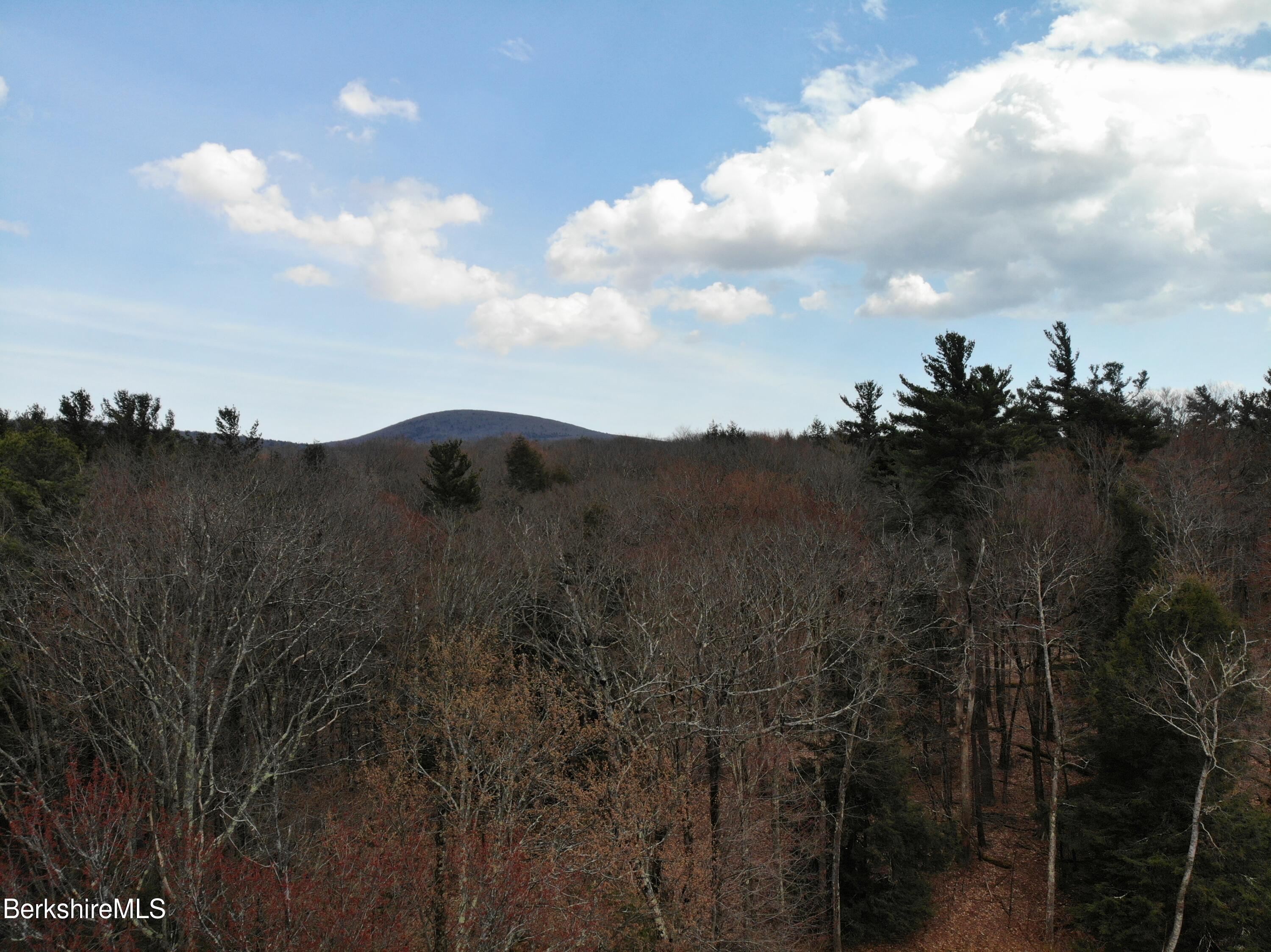 10 Mountain Road South Egremont, MA 01258 - Photo 6 of 10 a view of a city with a forest