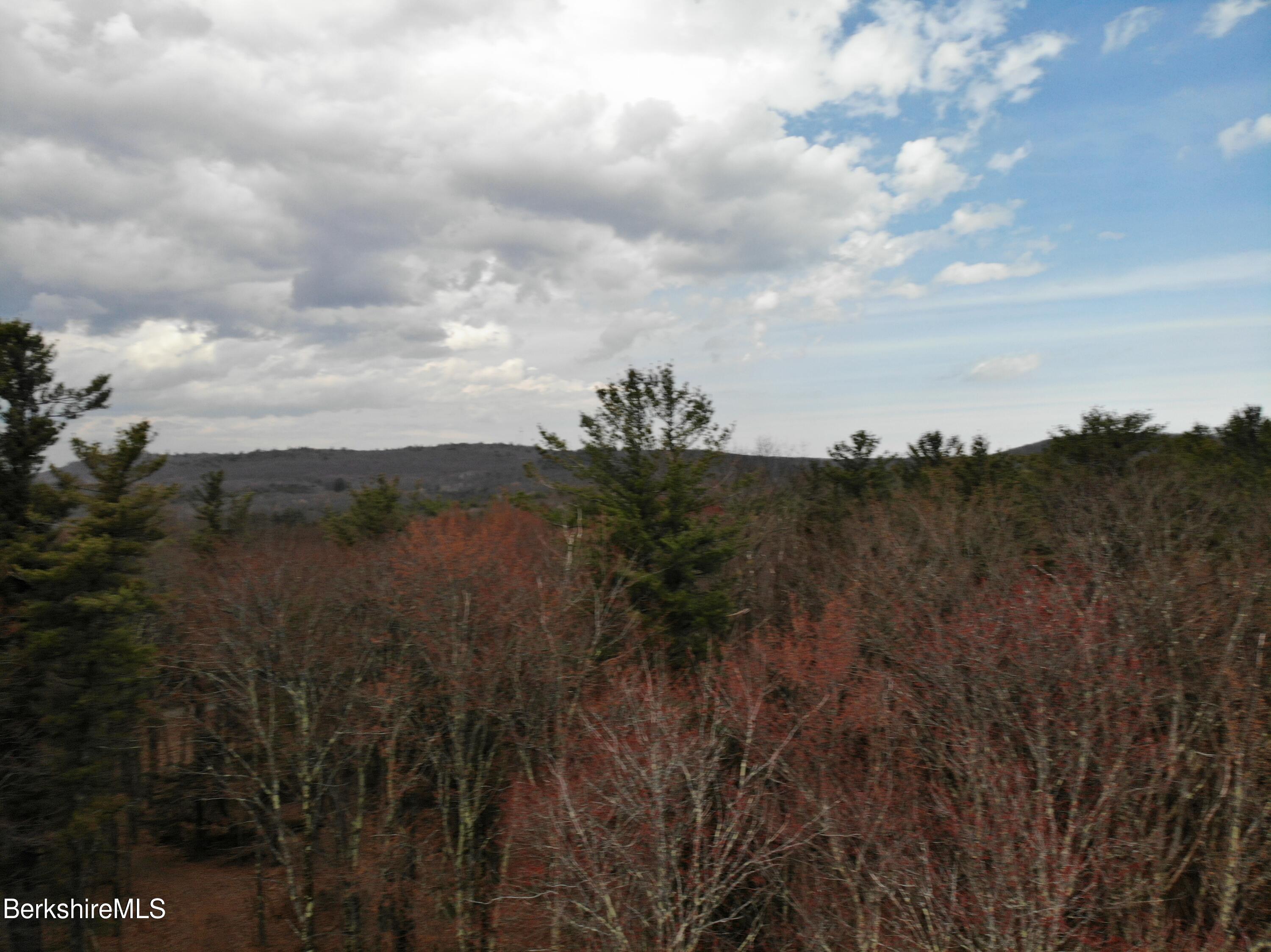 10 Mountain Road South Egremont, MA 01258 - Photo 7 of 10 a view of a yard