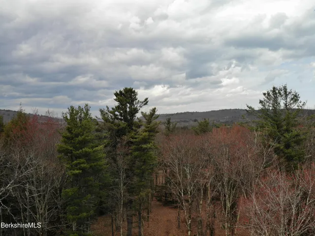 a view of a lake with a yard