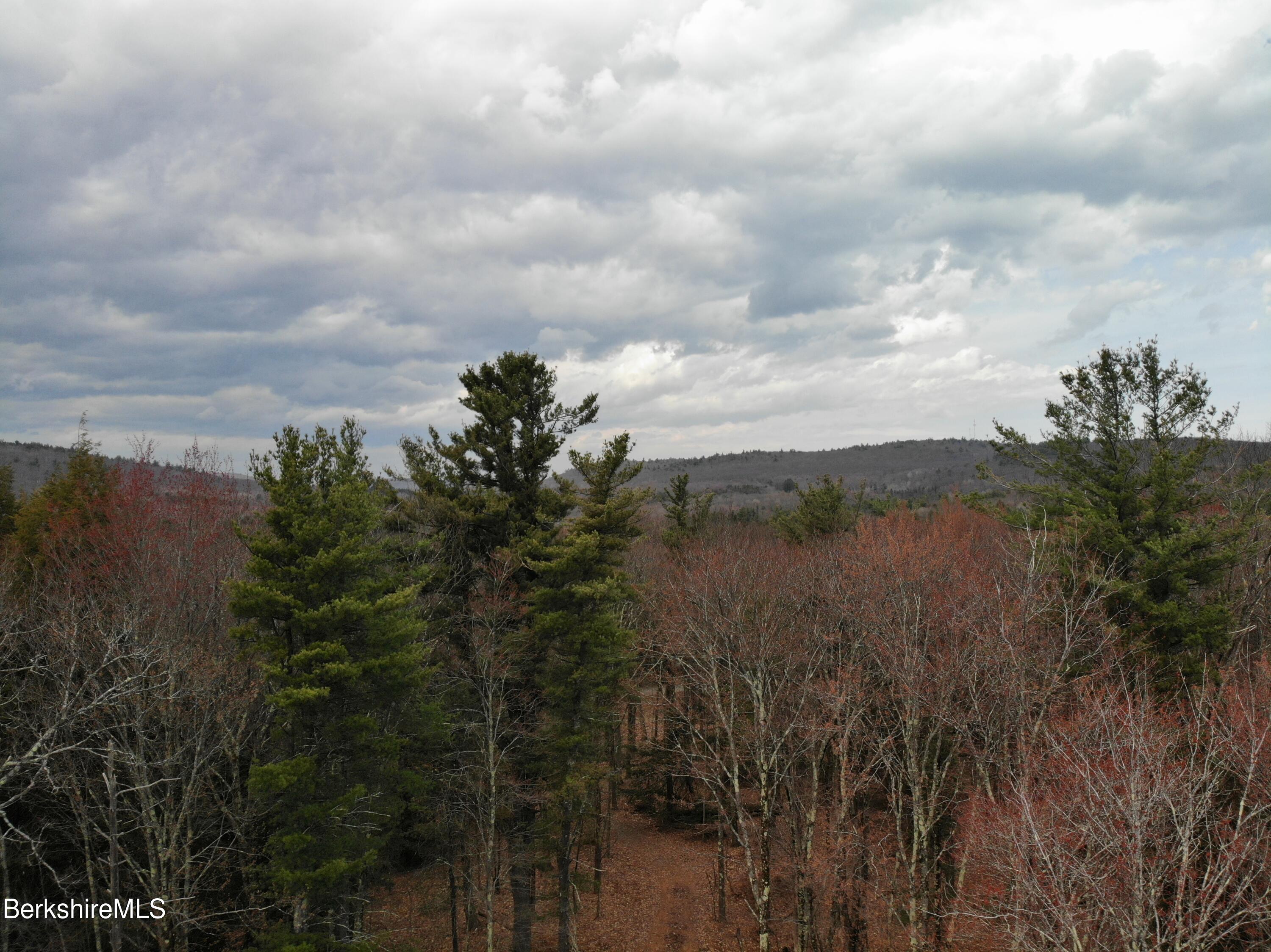 10 Mountain Road South Egremont, MA 01258 - Photo 8 of 10 a view of a lake with a yard
