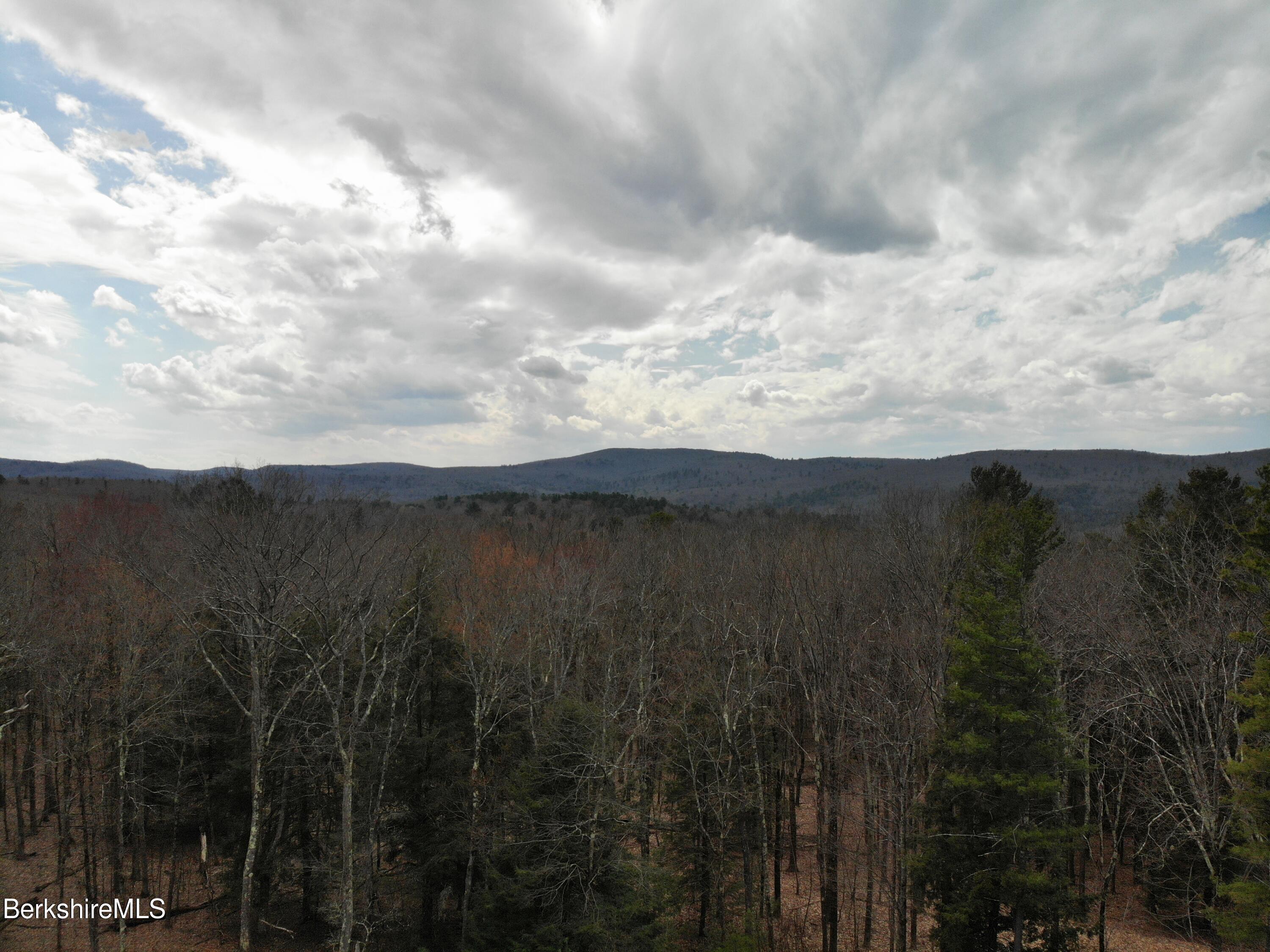 10 Mountain Road South Egremont, MA 01258 - Photo 10 of 10 a view of a yard with wooden fence