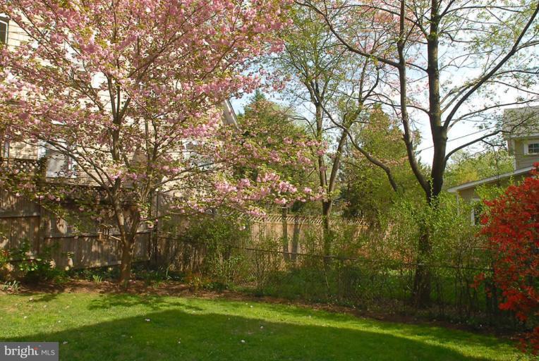 5361 Broad Branch Road Northwest Washington, DC 20015 - Photo 23 of 24 Back yard