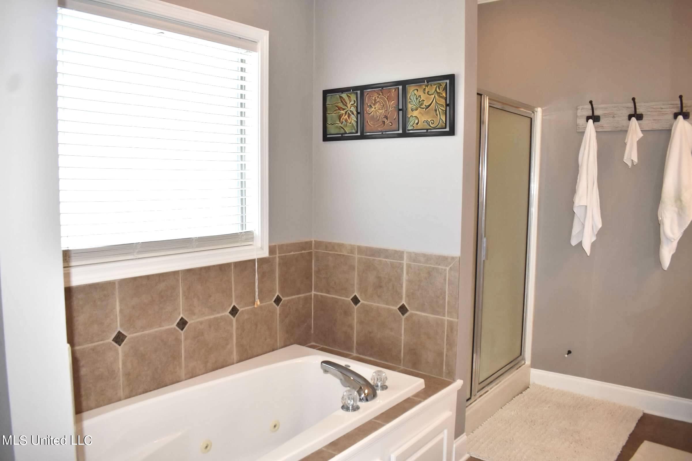 300 Springhill Point Brandon, MS 39047 - Photo 21 of 33 IMG_7274