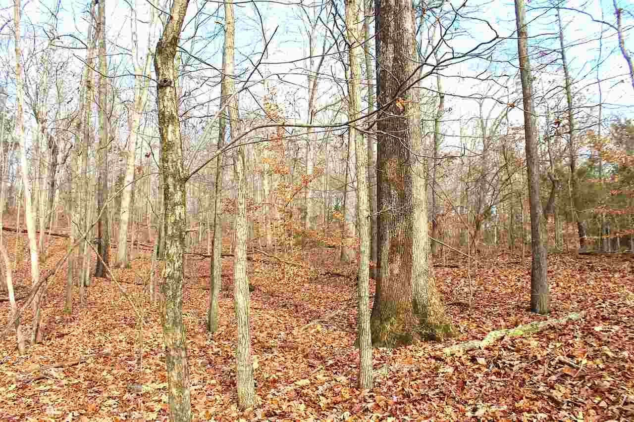 0 Ellis Cole Road Bowling Green, KY 42101 - Photo 18 of 23 Gallery Image 18