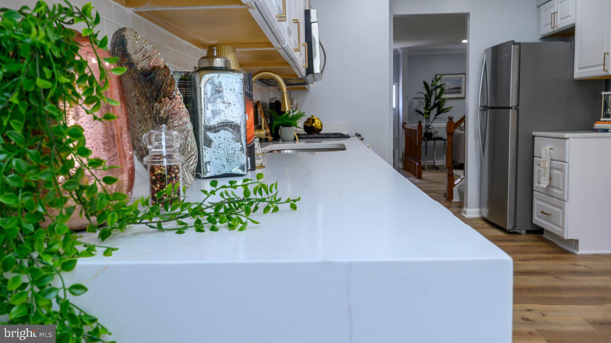 2832 Strauss Terrace Silver Spring, MD 20904 - Photo 28 of 80 Quartz Counter Top Close-Up View Of Waterfall Edge