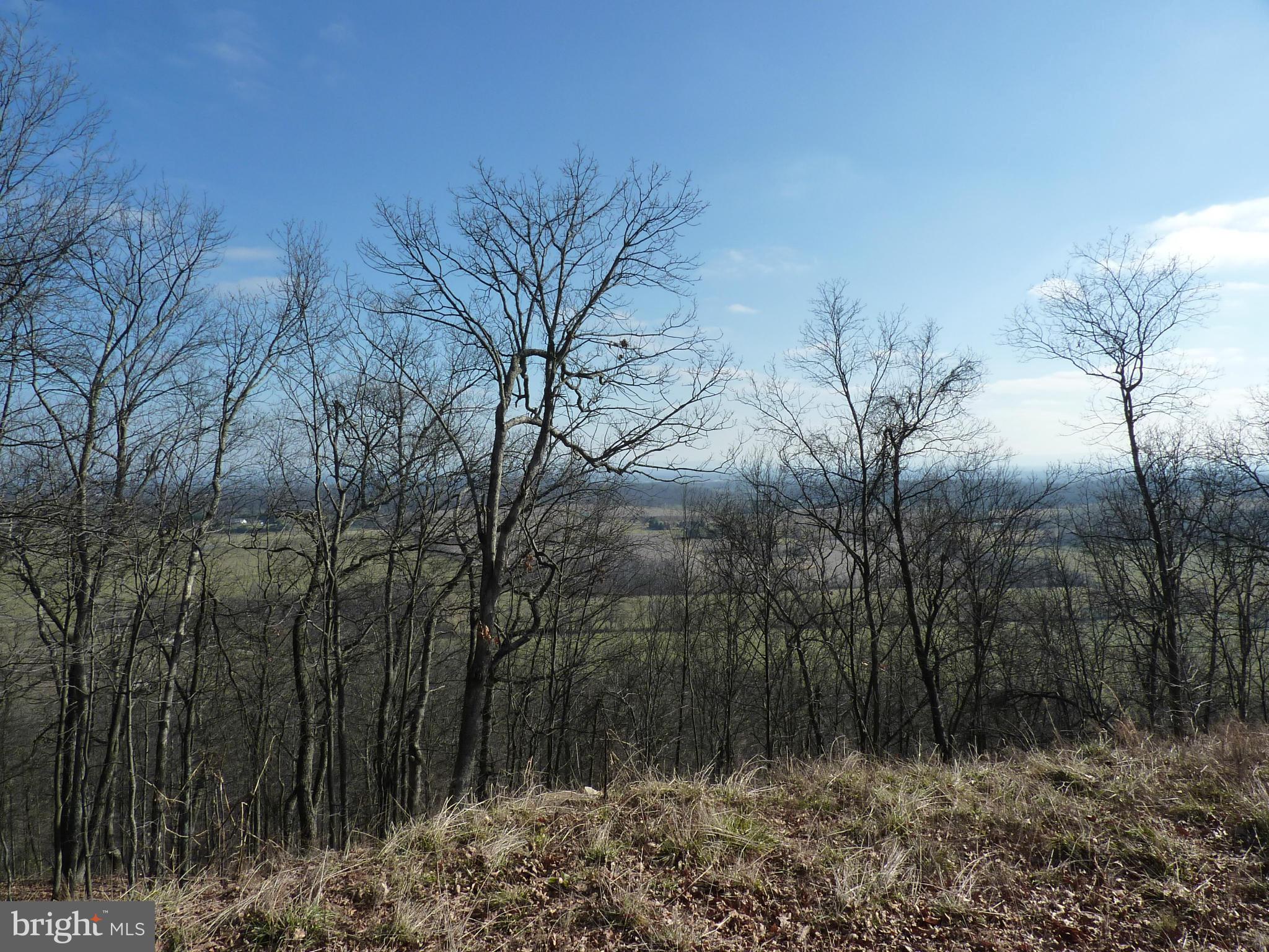 0 Signal Ridge Lane Winchester, VA 22603 - Photo 14 of 17 View