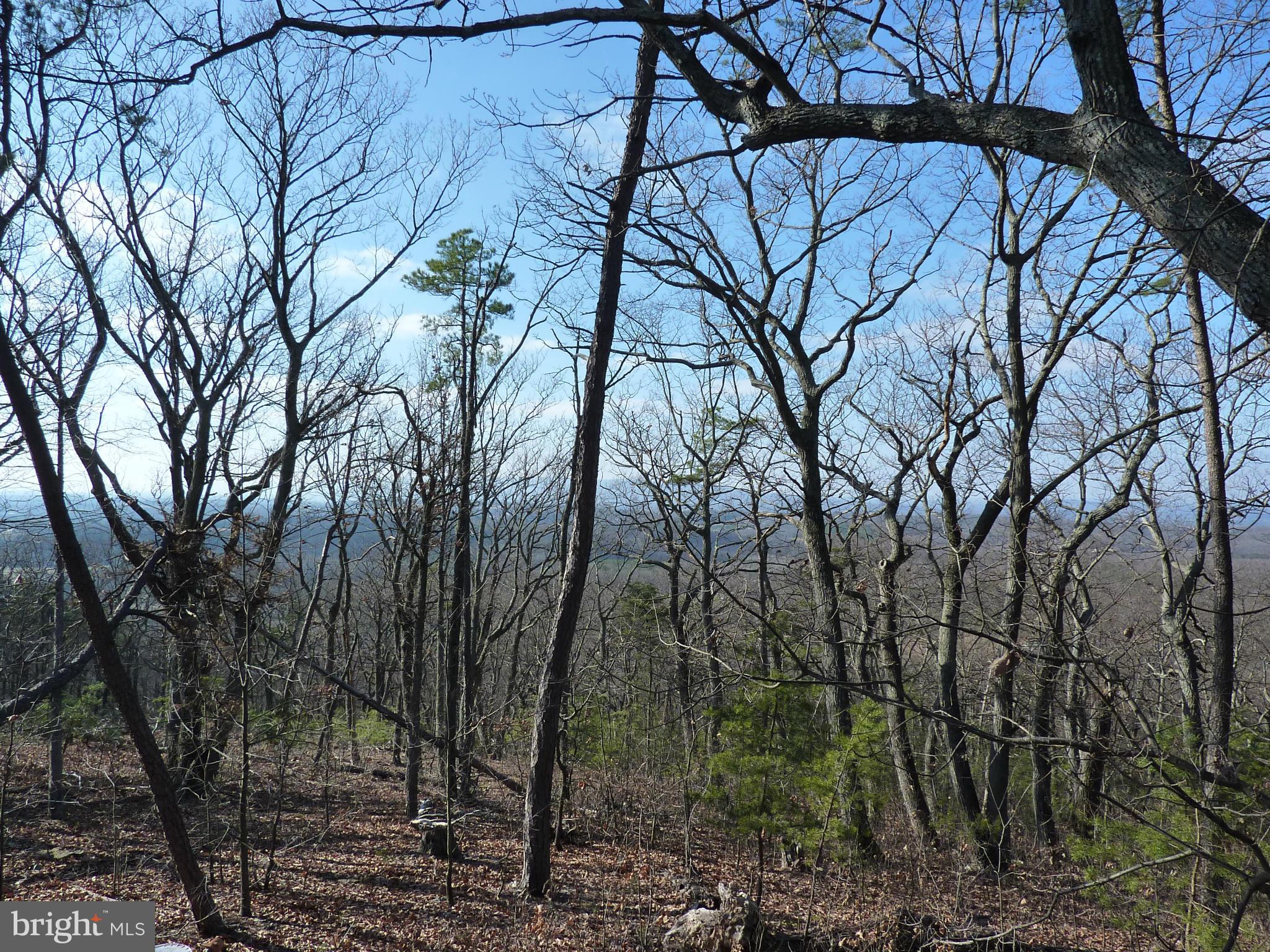 0 Signal Ridge Lane Winchester, VA 22603 - Photo 8 of 17 View from Cabin