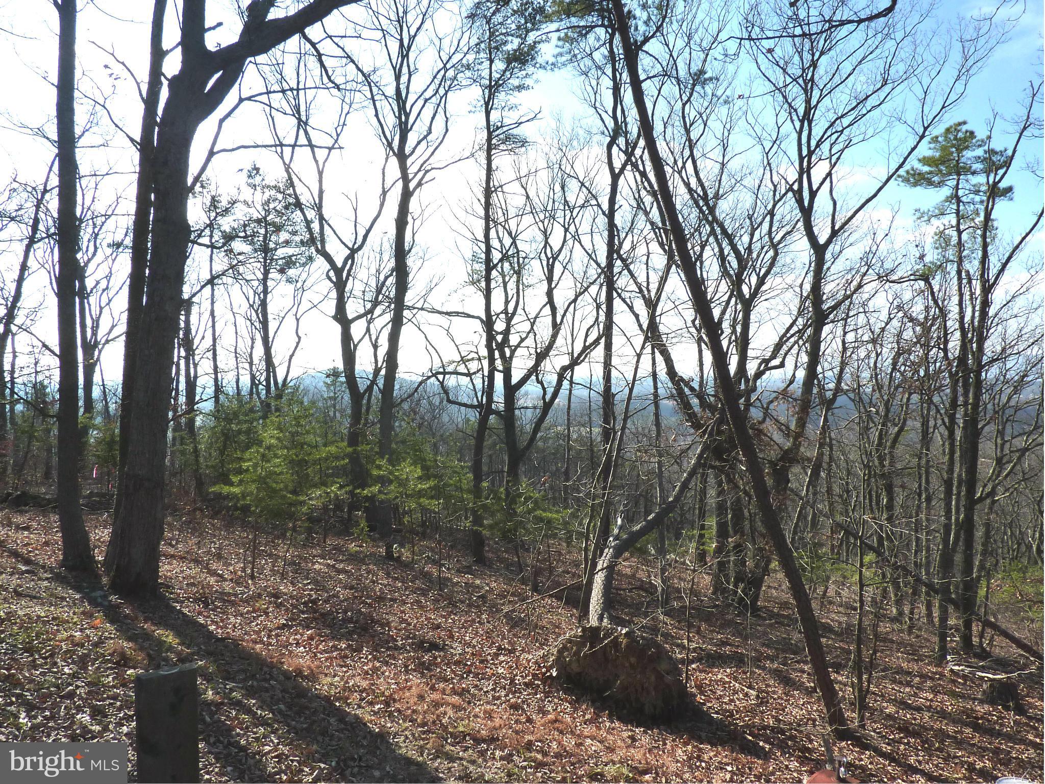 0 Signal Ridge Lane Winchester, VA 22603 - Photo 9 of 17 View from Cabin