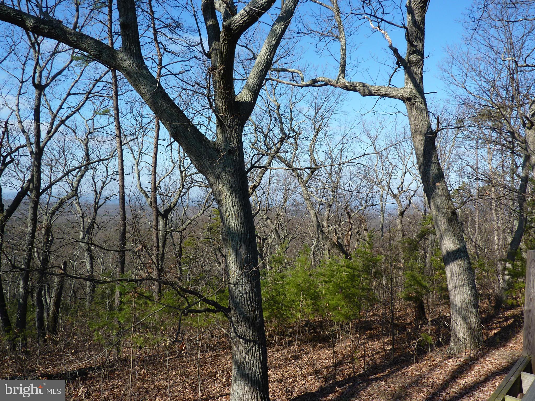 0 Signal Ridge Lane Winchester, VA 22603 - Photo 10 of 17 View from Cabin