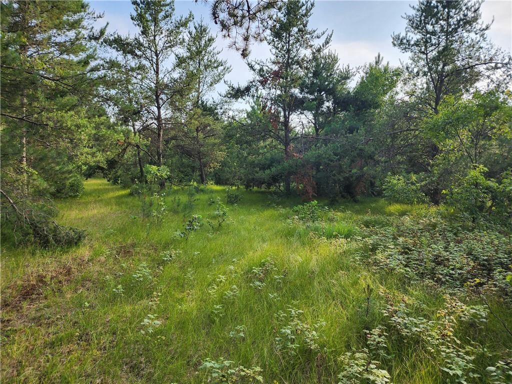 5500 County Highway Sparta, WI 54656 - Photo 11 of 39