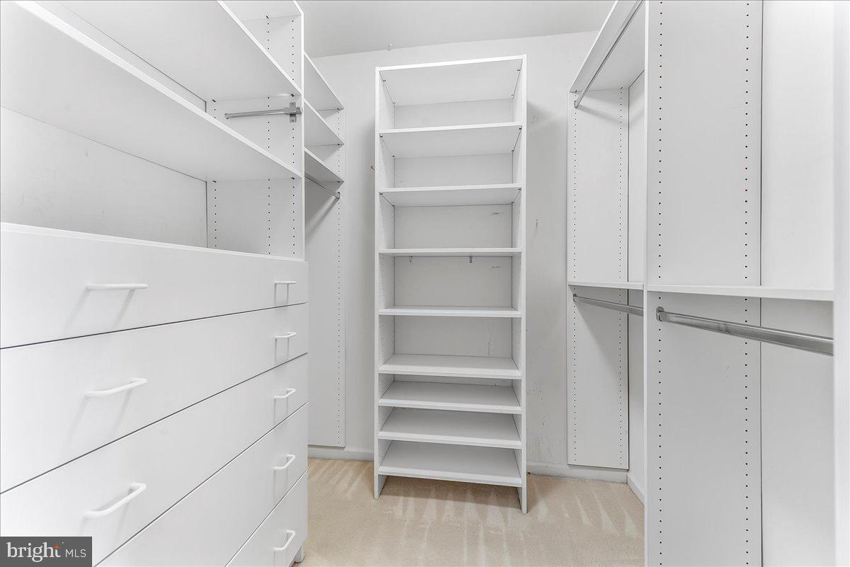 1132 Brian's Way Wayne, PA 19087 - Photo 25 of 45 a view of walk in closet with empty racks