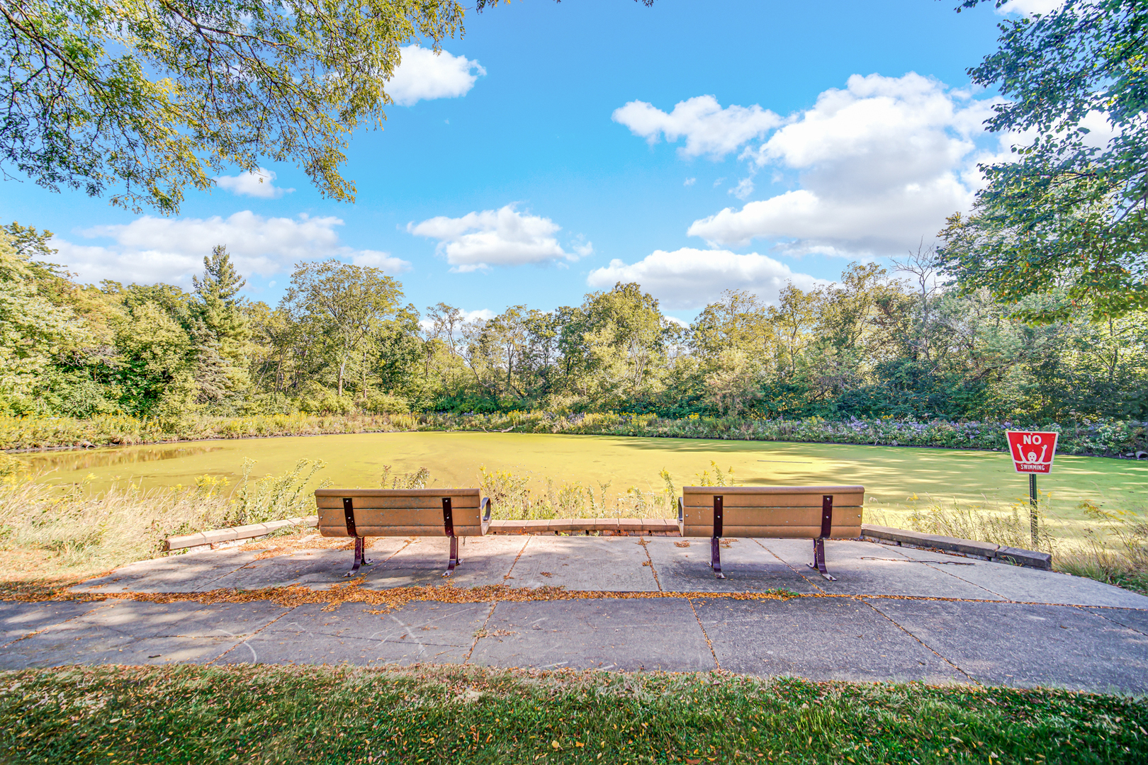 1028 West Park Pl Drive Bartlett, IL 60103 - Photo 24 of 24 a view of lake