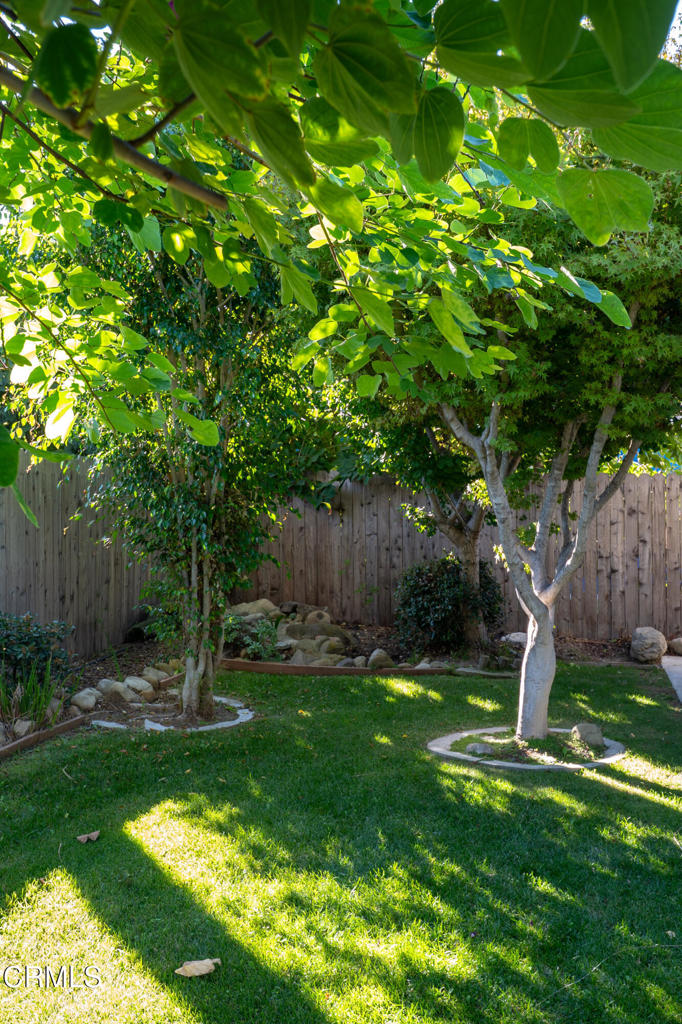 408 Grande Street Oxnard, CA 93036 - Photo 33 of 45 a backyard of a house with lots of plants and tree
