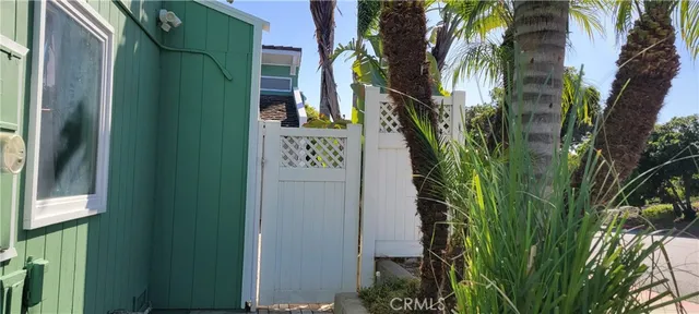 a close up of a plant in a pot