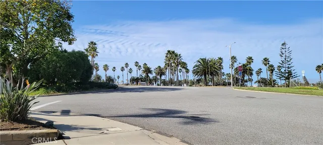 a palm trees sitting on a road with a palm trees