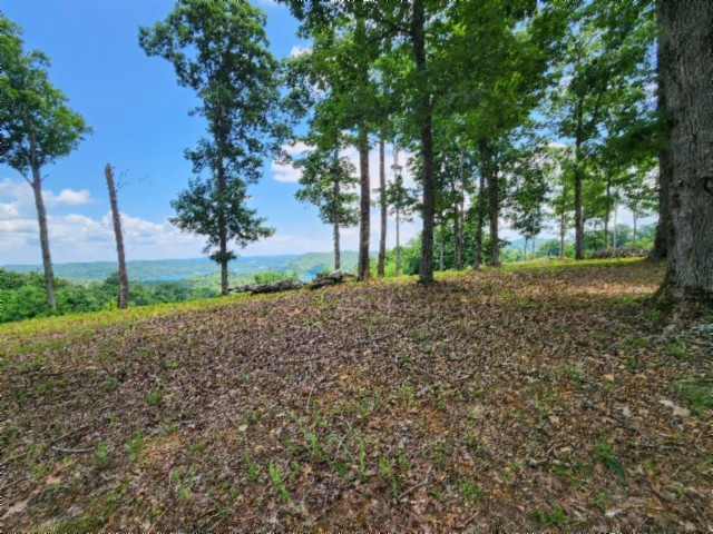 0 Rock Fish Road East Celina, TN 38551 - Photo 7 of 27