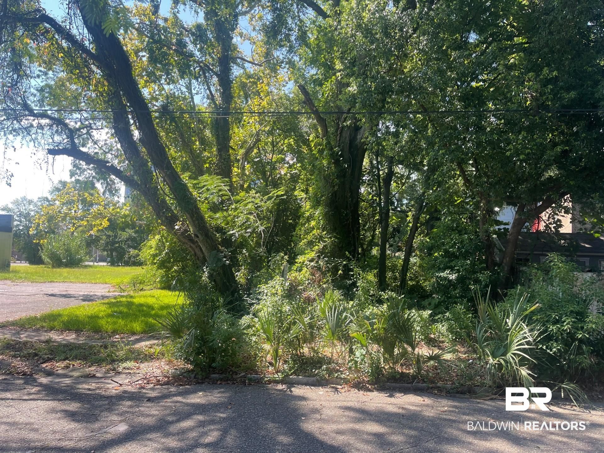 0 Adams Street Mobile, AL 36603 - Photo 1 of 3