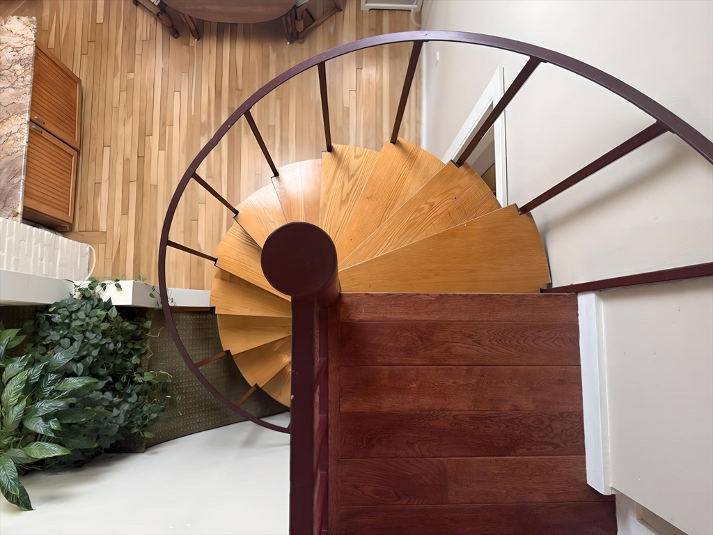 12 Grandview Road Arlington, MA 02476 - Photo 26 of 42 a view of staircase with a potted plant