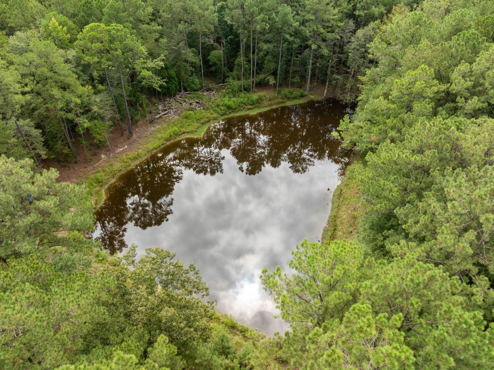 430 George Boutwell Cutoff Road Laurel, MS 39443 - Photo 38 of 52 Gallery Image 38
