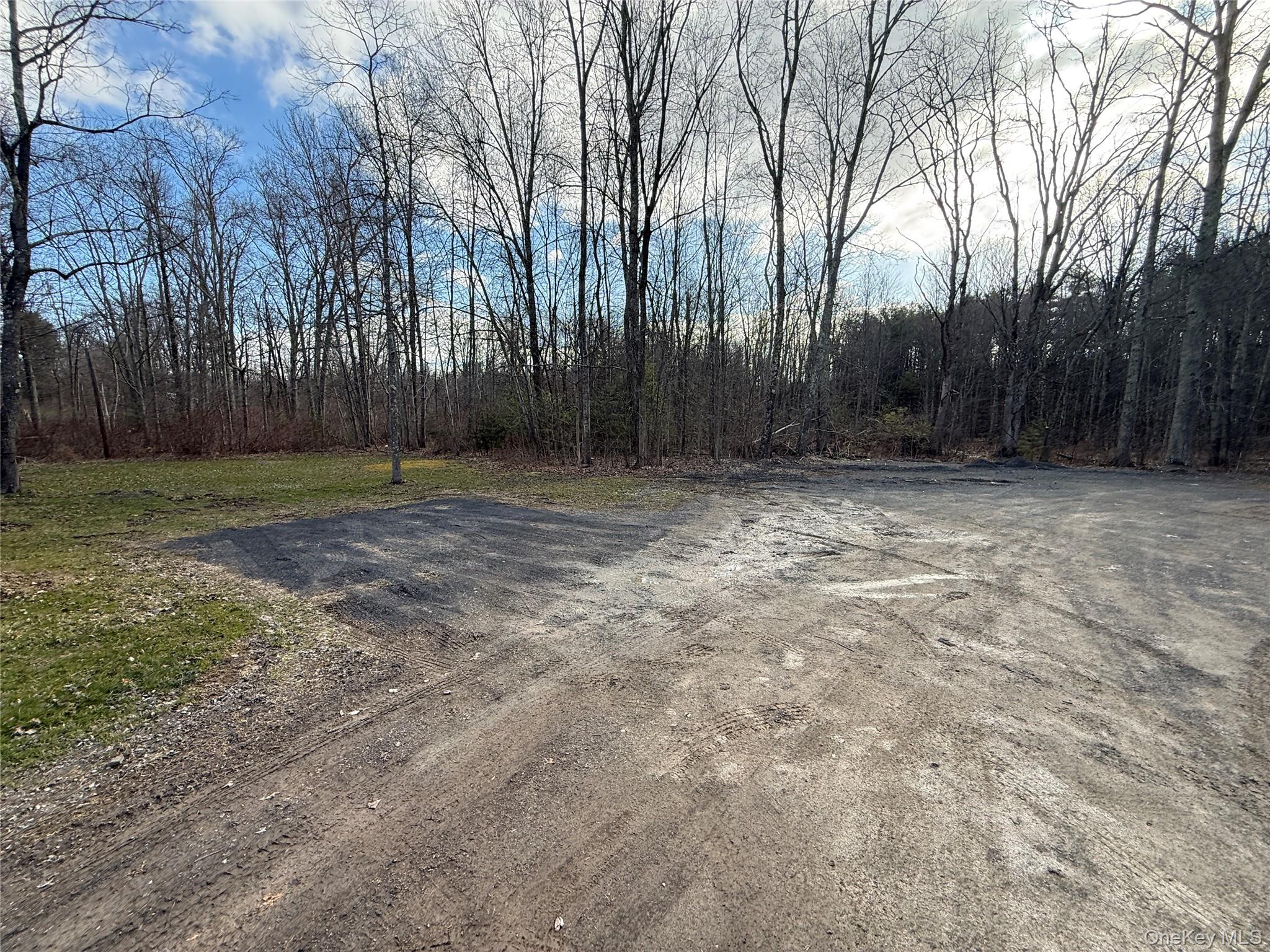 25 Fawn Road, Unit LOT 1 Saugerties, NY 12477 - Photo 26 of 26