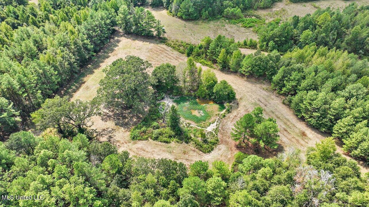 3888 Military Road Raymond, MS 39154 - Photo 40 of 54 40-3483 Military Rd