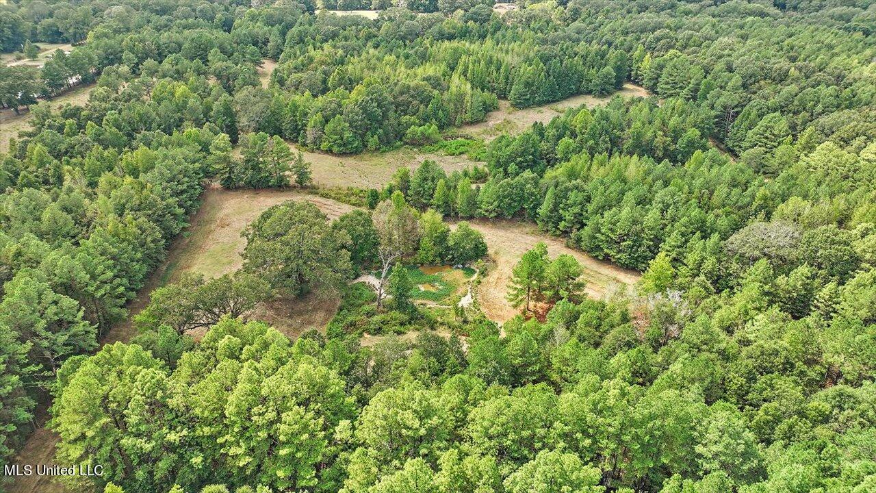 3888 Military Road Raymond, MS 39154 - Photo 46 of 54 46-3483 Military Rd