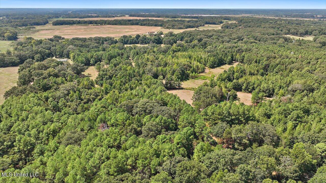 3888 Military Road Raymond, MS 39154 - Photo 9 of 54 08-3483 Military Rd