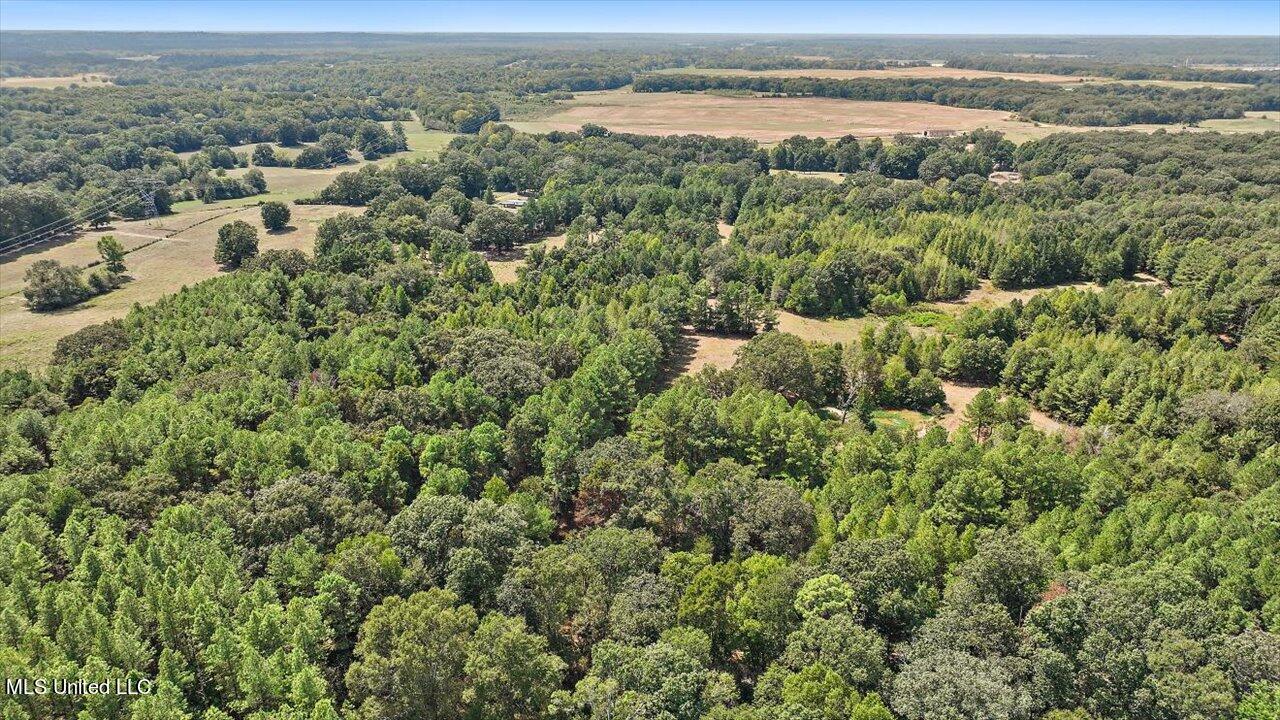 3888 Military Road Raymond, MS 39154 - Photo 10 of 54 09-3483 Military Rd