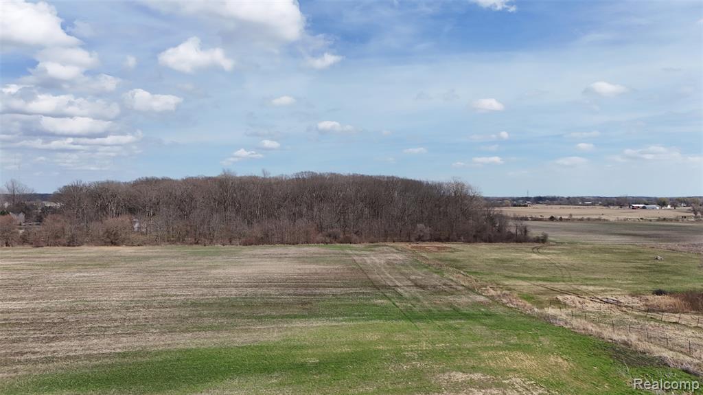 0 Briar Hill Road Carleton, MI 48117 - Photo 2 of 5
