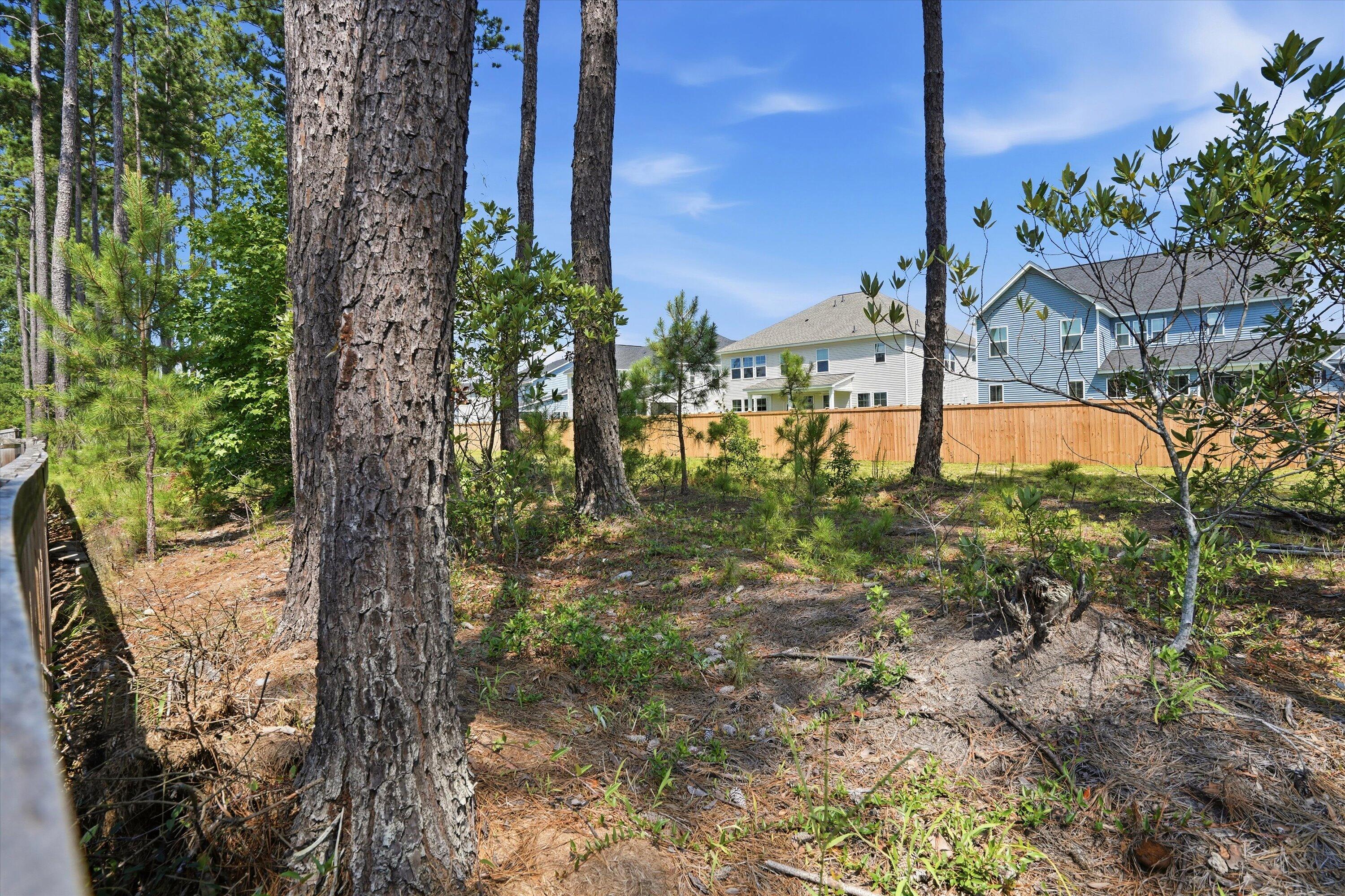 295 Saxony Loop Summerville, SC 29486 - Photo 49 of 54 Buffer behind fence