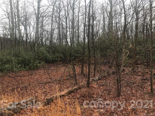 99999 Pine Bluff Road, Unit A Hendersonville, NC 28792 - Photo 12 of 15 a view of a forest with trees in the background