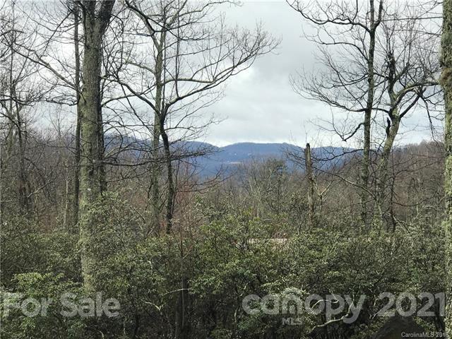 99999 Pine Bluff Road, Unit A Hendersonville, NC 28792 - Photo 13 of 15 a backyard of a house with lots of green space