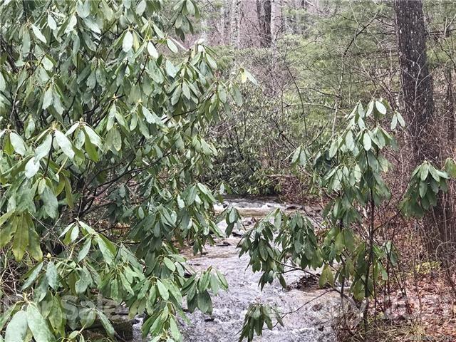 99999 Pine Bluff Road, Unit A Hendersonville, NC 28792 - Photo 2 of 15 a view of a tree