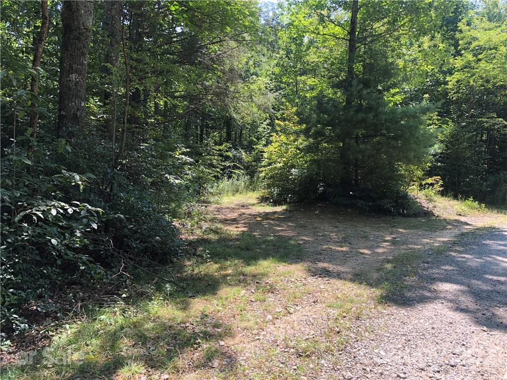 99999 Pine Bluff Road, Unit A Hendersonville, NC 28792 - Photo 3 of 15 a view of a yard with plants and large trees