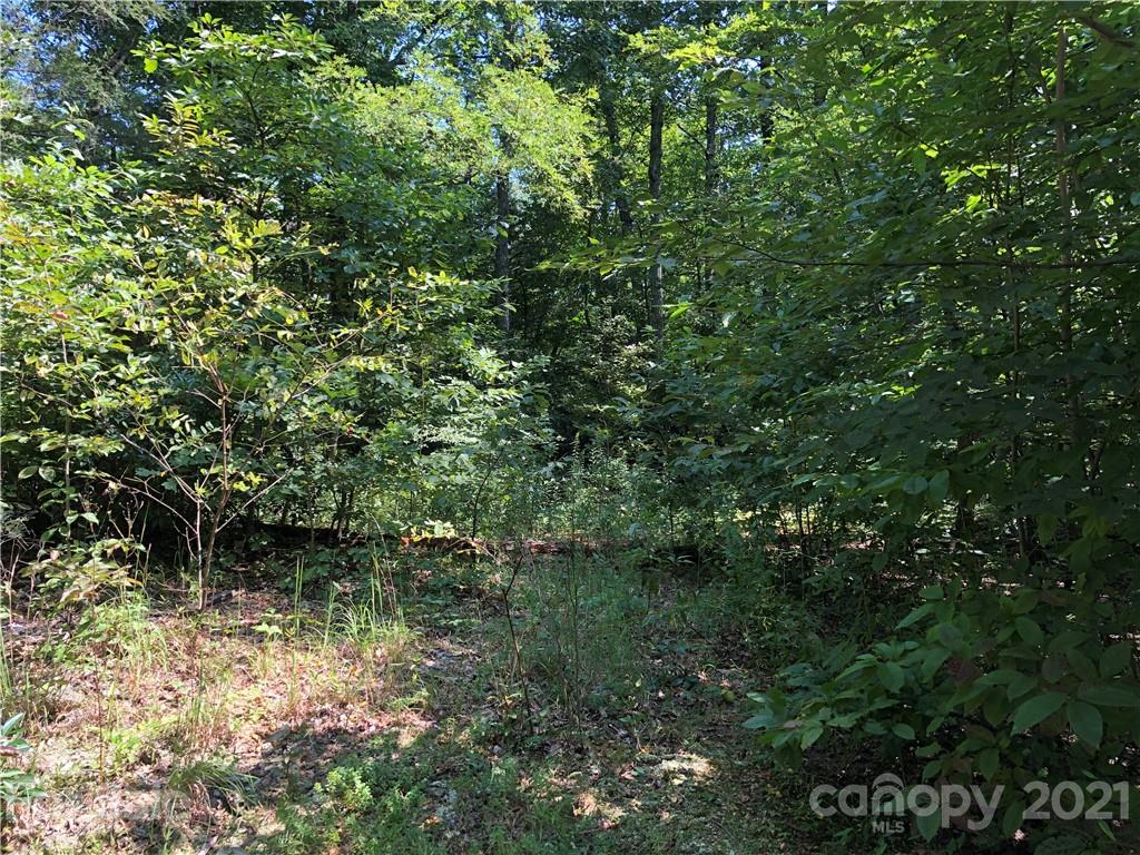 99999 Pine Bluff Road, Unit A Hendersonville, NC 28792 - Photo 6 of 15 a view of a garden