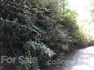 99999 Pine Bluff Road, Unit A Hendersonville, NC 28792 - Photo 7 of 15 a view of a forest