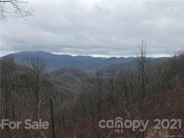 99999 Pine Bluff Road, Unit A Hendersonville, NC 28792 - Photo 9 of 15 a view of a dry yard with mountain