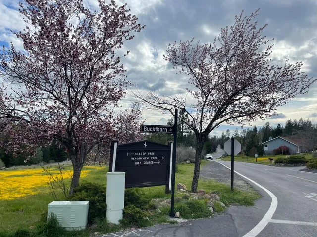 $15,000 | 386 Buckthorn Drive, Murphys, CA 95247