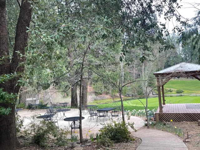 $15,000 | 386 Buckthorn Drive, Murphys, CA 95247