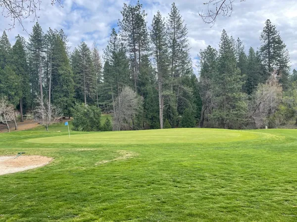 a view of a grassy area with an trees
